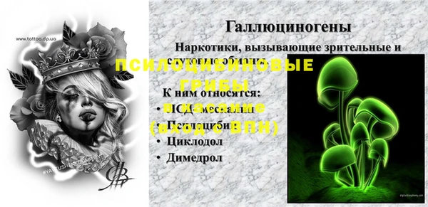 эйфоретик Алзамай